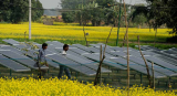 Institute for Transformative Technologies Looks to Spur Rural Renewable Electrification