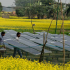 Warburg Pincus Planning to Plow $75MM in Indian Rooftop/Residential Solar Developer