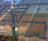 How Agrivoltaics Can Double Farming Productivity While Improving The Soil